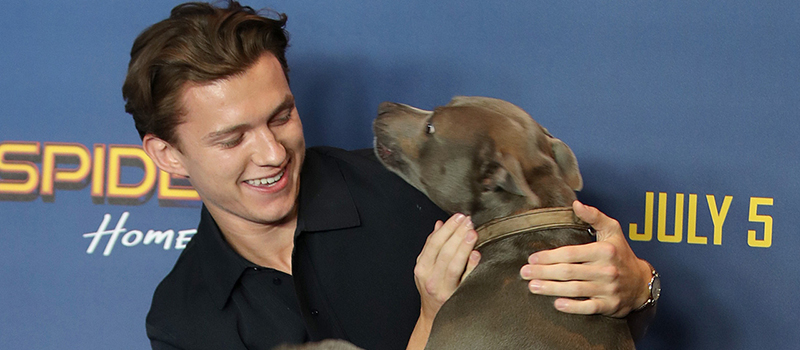tom holland
